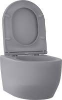 Унитаз подвесной Wellsee Croquis 182614001 безободковый, с микролифтом, матовый серый