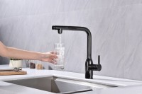 Смеситель для кухни Paulmark Viper Vi213105-GB глянцевый черный