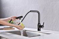 Смеситель для кухни Paulmark Viper Vi213105-GB глянцевый черный