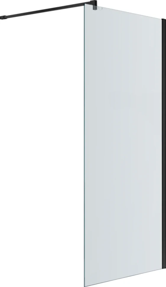 Душевая перегородка AQUATEK AQ WIW 10020BL 100x200 см, черный матовый профиль