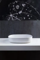 Накладная раковина Allen Brau Fantasy Oval 55x36, белая Накладная раковина Allen Brau Fantasy Oval 55x36, белая