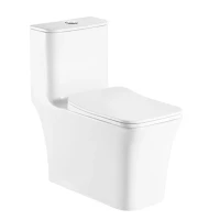 Унитаз-моноблок AZARIO GRESSA 705х370х760 безободковый с сиденьем микролифт (AZ-1111) Унитаз-моноблок AZARIO GRESSA 705х370х760 безободковый с сиденьем микролифт (AZ-1111)