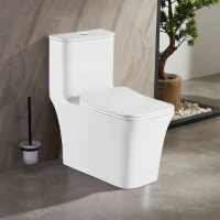 Унитаз-моноблок AZARIO GRESSA 705х370х760 безободковый с сиденьем микролифт (AZ-1111) Унитаз-моноблок AZARIO GRESSA 705х370х760 безободковый с сиденьем микролифт (AZ-1111)