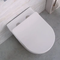 Унитаз подвесной BelBagno Loto BB070CHR/SC безободковый