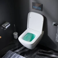 Унитаз подвесной AM.PM Spirit V2.0 FlashClean с микролифтом, белый