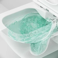 Унитаз подвесной AM.PM Spirit V2.0 FlashClean с микролифтом, белый