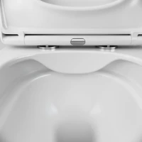 Унитаз подвесной AM.PM Spirit V2.0 FlashClean с микролифтом, белый