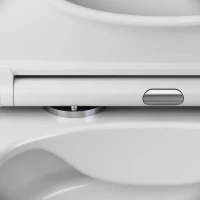 Унитаз подвесной AM.PM Spirit V2.0 FlashClean с микролифтом, белый