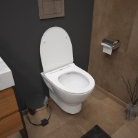 Унитаз подвесной Teymi Ritta T40809 с микрофлитом, безободковый, белый