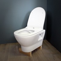 Унитаз подвесной Teymi Ritta T40809 с микрофлитом, безободковый, белый