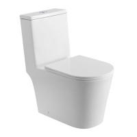 Унитаз-моноблок напольный BelBagno Tre BB673CP-MN-TOR/SC белый