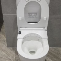 Комплект Унитаз подвесной Toto RP CW542ERY безободковый + Крышка RW TCF801CG с дистанционным управлением + Инсталляция TECE Profil + Крепления TECEprofil 9380014