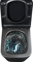 Комплект Lemark Florex 100802234 безободковый, с микролифтом, кнопка смыва матовая черная soft touch