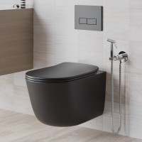 Гигиенический душ Paini Castello Round CACR442R со смесителем, С ВНУТРЕННЕЙ ЧАСТЬЮ, хром