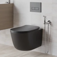 Гигиенический душ Paini Castello Round CACR442R со смесителем, С ВНУТРЕННЕЙ ЧАСТЬЮ, хром