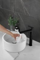Смеситель для раковины BELZ B715 B11715-7 черный Смеситель для раковины BELZ B715 B11715-7 черный