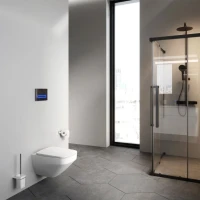 Унитаз подвесной AM.PM Inspire V2.0 FlashClean с микролифтом, белый матовый