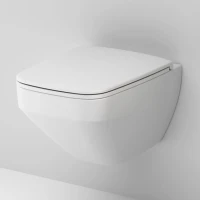 Унитаз подвесной AM.PM Inspire V2.0 FlashClean с микролифтом, белый матовый