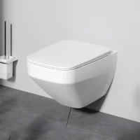 Унитаз подвесной AM.PM Inspire V2.0 FlashClean с микролифтом, белый матовый