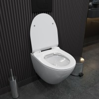 Унитаз подвесной Teymi Lina Pro T40106 с микрофлитом, безободковый, белый