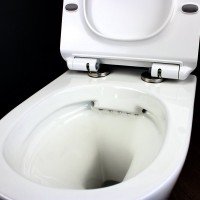 Унитаз подвесной Teymi Lina Pro T40106 с микрофлитом, безободковый, белый