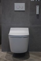 Комплект Унитаз подвесной Toto RP CW542ERY безободковый + Крышка Washlet RX TCF894CG#NW1 с дистанционным управлением + Инсталляция TECE Profil + Крепления TECEprofil 9380014