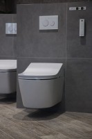 Комплект Унитаз подвесной Toto RP CW542ERY безободковый + Крышка Washlet RX TCF894CG#NW1 с дистанционным управлением + Инсталляция TECE Profil + Крепления TECEprofil 9380014