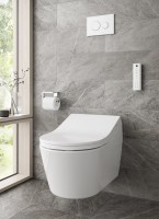 Комплект Унитаз подвесной Toto RP CW542ERY безободковый + Крышка Washlet RX TCF894CG#NW1 с дистанционным управлением + Инсталляция TECE Profil + Крепления TECEprofil 9380014