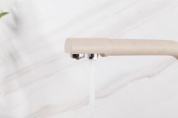 Смеситель для кухни Frap H52 F4352-23 бежевый