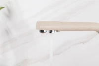 Смеситель для кухни Frap H52 F4352-23 бежевый