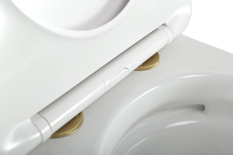 Унитаз подвесной Cezares Stylus CZR-6601-TH-TOR/SC