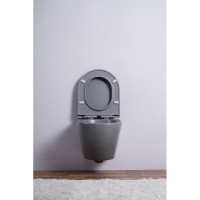 Комплект 3 в 1 Унитаз подвесной Esbano Azalea ESUPAZALGM + Инсталляция Fram + Кнопка ESINMTK60ST цвет сатин