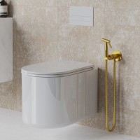 Гигиенический душ Paini Castello Round CAPJ442R со смесителем, С ВНУТРЕННЕЙ ЧАСТЬЮ, брашированное золото