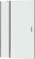 Душевая дверь в нишу RGW Leipzig LE-004-Gg 1000х1950 профиль серый, стекло матовое