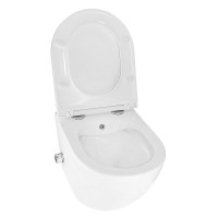 Унитаз подвесной AZARIO Grado AZ-046E-NR безободковый, с микролифтом, с биде