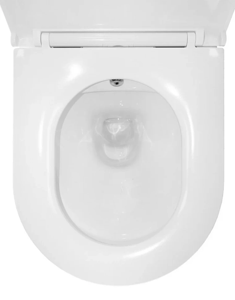 Унитаз подвесной AZARIO Grado AZ-046E-NR безободковый, с микролифтом, с биде