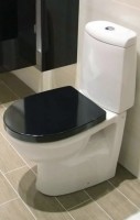 Унитаз-компакт напольный Roca Victoria Nord Victoria Nord