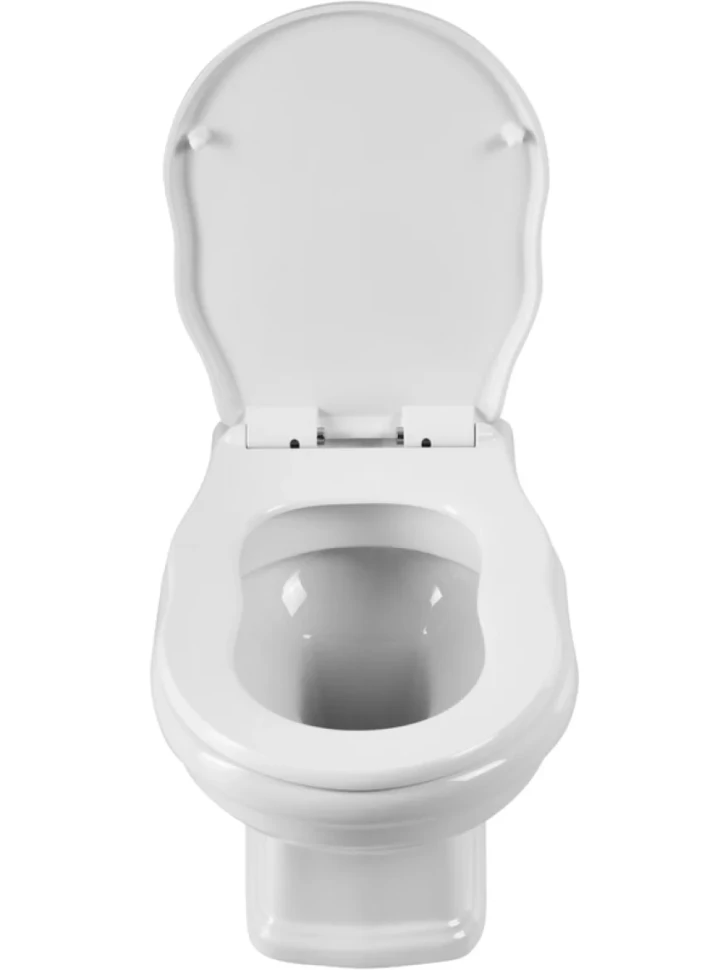 Унитаз подвесной BelBagno Boheme BB115CH безободковый, крышка BB115SC с микролифтом