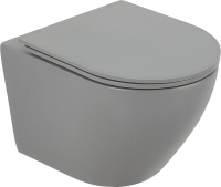 Унитаз подвесной BelBagno Colorato BB062CHR-GR безободковый, с микролифтом, матовый серый