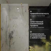 Душевая перегородка STWORKI Берген 90 см, профиль золото, прозрачное стекло