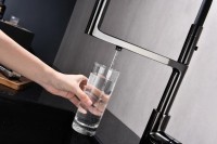 Смеситель для кухни Paulmark Tornado To213402-GB глянцевый черный