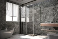Душевой уголок Veconi Premium Trento PTC-SP-40CH 140x80, профиль хром, стекло прозрачное