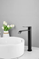 Смеситель для раковины BELZ B812 B11812-7 черный Смеситель для раковины BELZ B812 B11812-7 черный