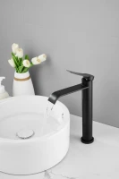 Смеситель для раковины BELZ B812 B11812-7 черный Смеситель для раковины BELZ B812 B11812-7 черный