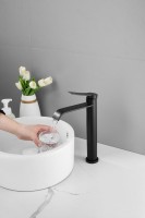 Смеситель для раковины BELZ B812 B11812-7 черный