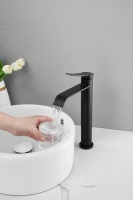 Смеситель для раковины BELZ B812 B11812-7 черный Смеситель для раковины BELZ B812 B11812-7 черный