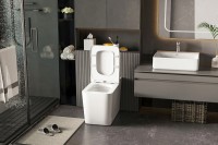 Умный унитаз напольный Abber Rechteck AC1212P импульсный смыв, с микролифтом