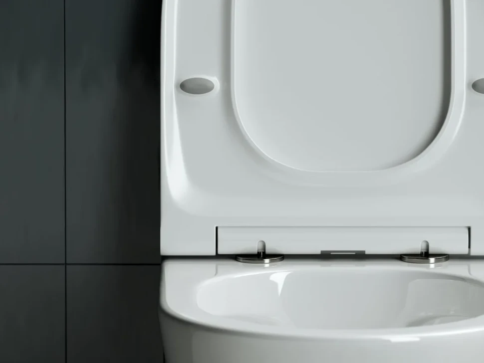 Комплект Унитаз подвесной Ceramicanova Forma CN3011 с микролифтом + Крепления Geberit Duofix 111.815.00.1 к стене + Звукоизоляция + Инсталляция UP 320 111.300.00.5 + Кнопка Sigma 01 115.770.11.5 белая