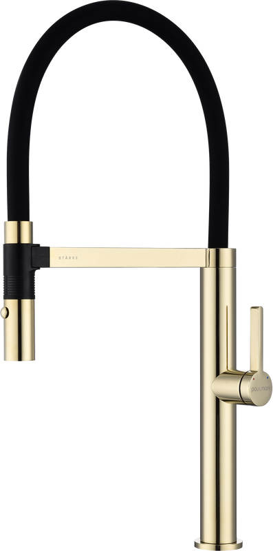 Смеситель для кухни Paulmark Leader Le214101-G, с гибким изливом, золото