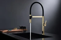 Смеситель для кухни Paulmark Leader Le214101-G, с гибким изливом, золото